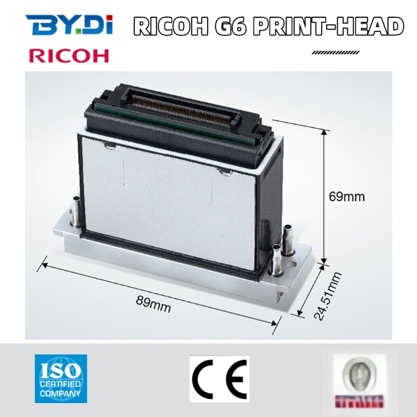 Ricoh G6 print-head